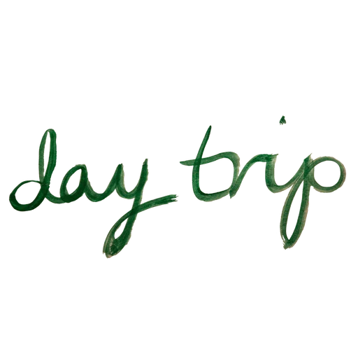 Logo de Day Trip