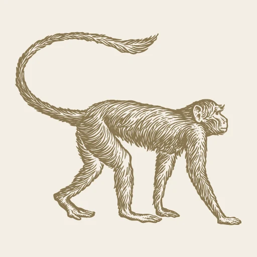 Logo de Mowgli Street Food