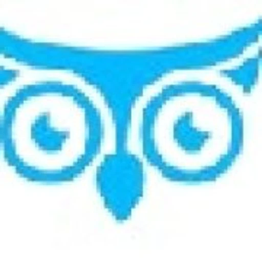 Logo de The Blue Owl