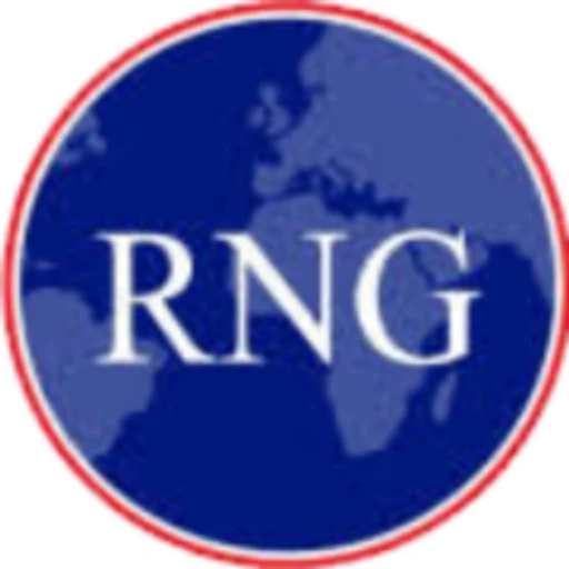 Logo von RNG Auditors