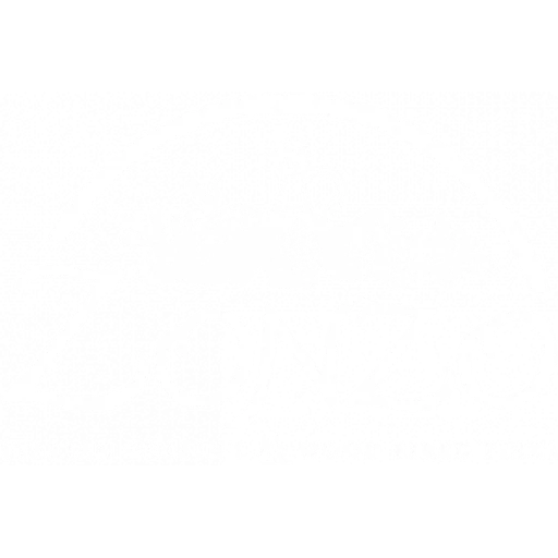 Logotipo de Zonzo
